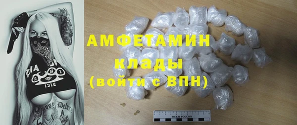 тгк Инсар