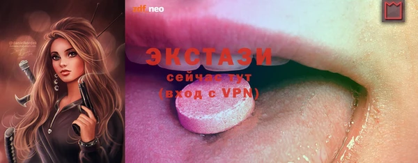 тгк Инсар