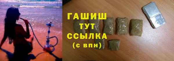 тгк Инсар