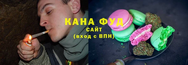 тгк Инсар