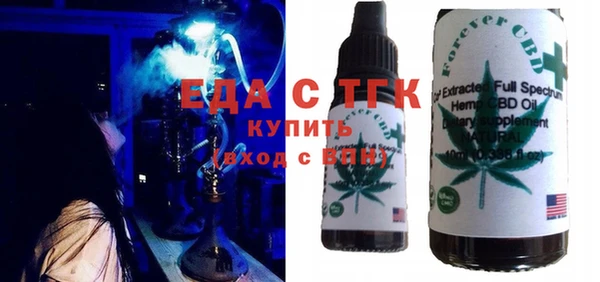 тгк Инсар