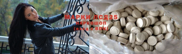 тгк Инсар