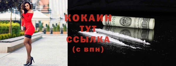 тгк Инсар