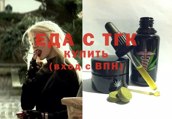 тгк Инсар