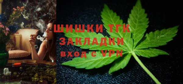 стафф Иннополис