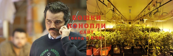 стафф Иннополис