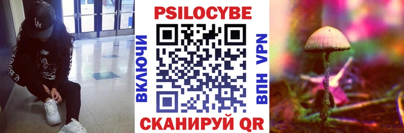 Купить закладки  Чкаловск  Галлюциногенные грибы мицелий 